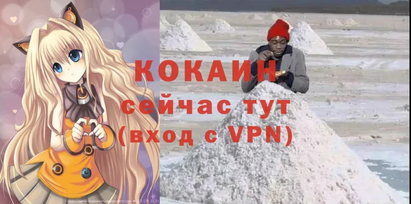 первитин Богородицк