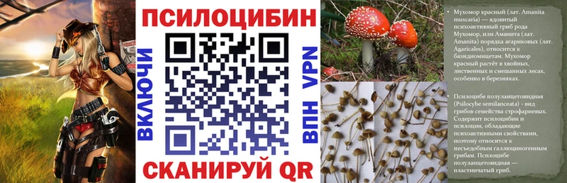 Галлюциногенные грибы Cubensis  Велиж 